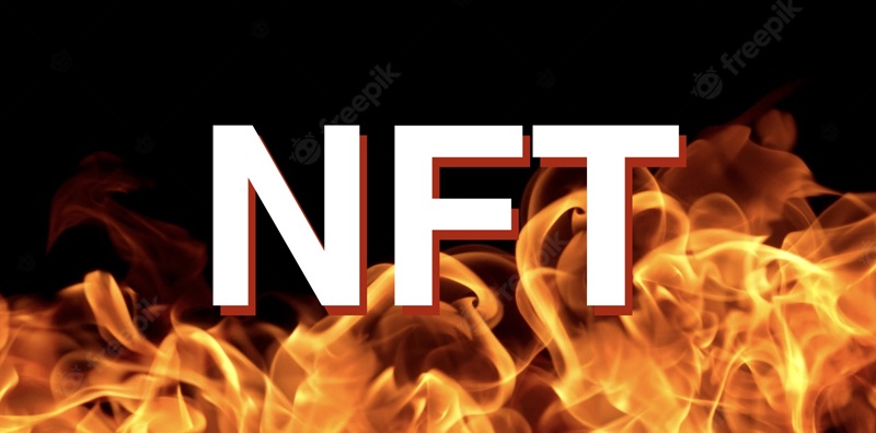 NFT5�N���d�������ò����DƬ