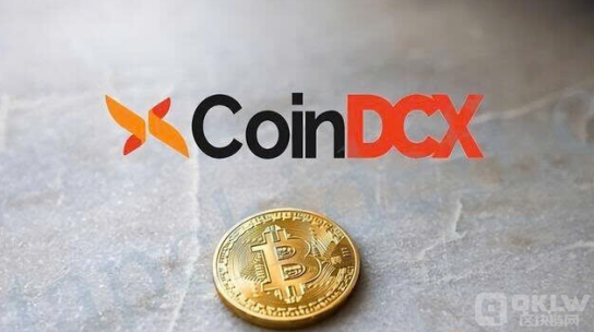印度交易所CoinDCX推出600萬美元投資者保護基金&nbsp;圖片