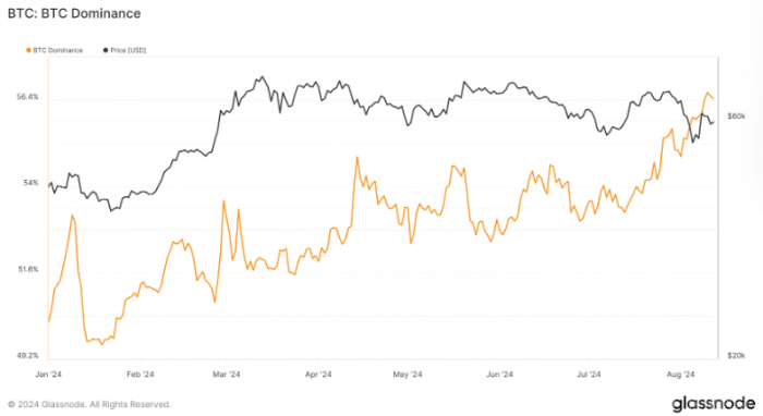 Bitcoin主導地位在2024年穩步上升，市場波動未&nbsp;圖片