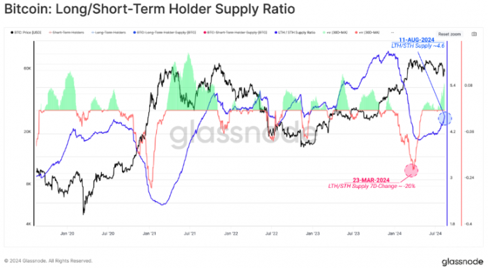 超過45%的Bitcoin供應量在六個月內未變動圖片