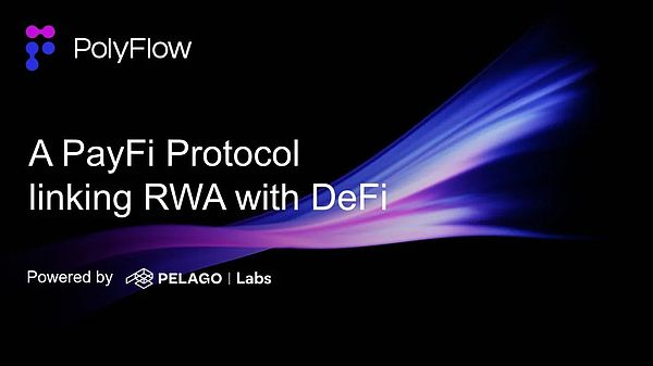 專訪 PolyFlow 聯(lián)創(chuàng) Raymond Qu：打造 PayFi 基&nbsp;圖片