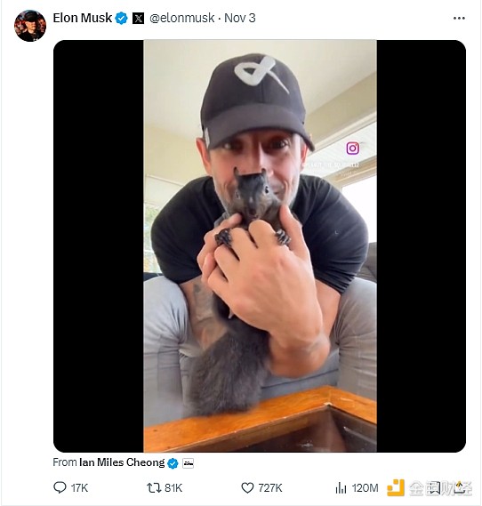 從安樂死到拯救美國：網(wǎng)紅松鼠Peanut的前世今生圖片