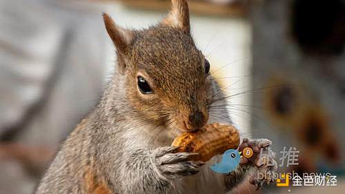 Meme造富機(jī)：一場虛無主義的財富游戲圖片