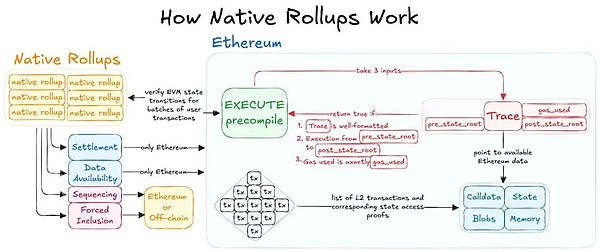 解讀下一代Ethereum L2（III）：原生 Rollups圖片